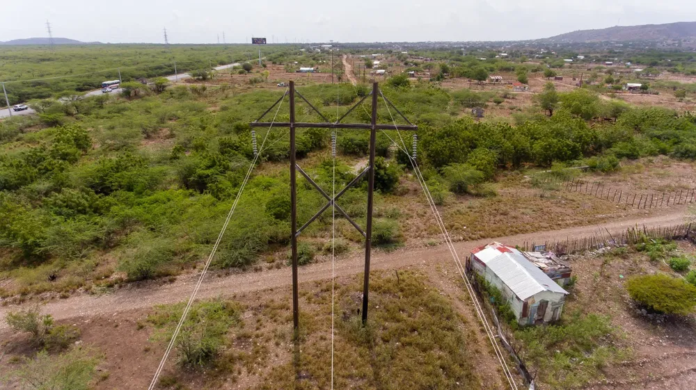 WhatsApp Image 2026-01-30 at 2.50.41 PM