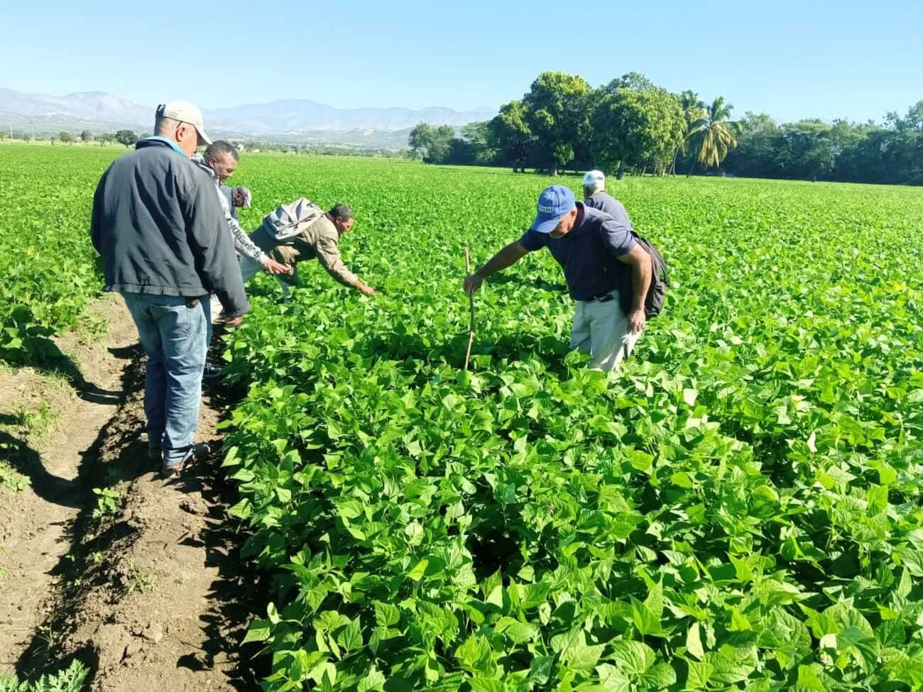 Agricultura, El Expreso